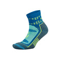 Balega Blister Resist Socks (Quarter)