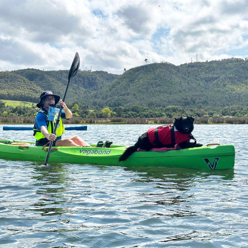 X-Treme PFD: K9 lifejacket for dogs