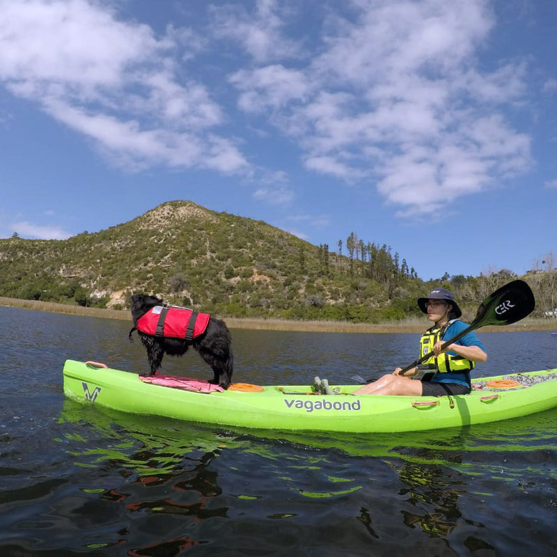 X-Treme PFD: K9 lifejacket for dogs